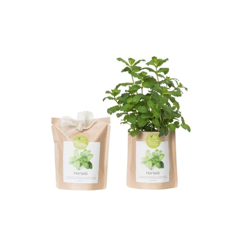 Kit D'herbes Aromatiques BIO* - Bleu (Ciboulette, Basilic, Persil) -  Cultivea
