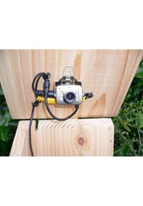 Camera couleur pour faune sauvage