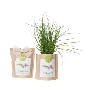 Kit bio prêt à pousser ciboulette