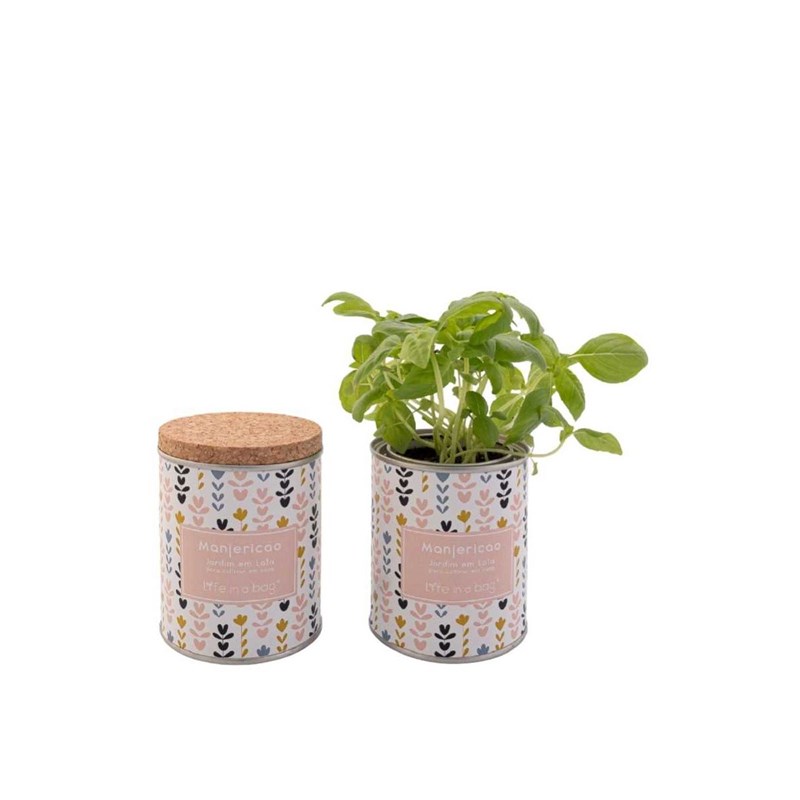 Achat Nature - Jardin en boite modern basilic