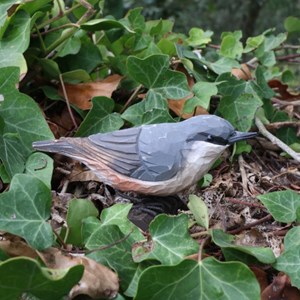 Sittelle torchepot oiseau en bois