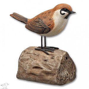 Moineau oiseau d'accueil détecteur