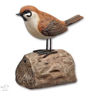 Moineau oiseau d'accueil détecteur