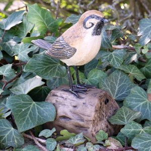 Moineau oiseau d'accueil détecteur
