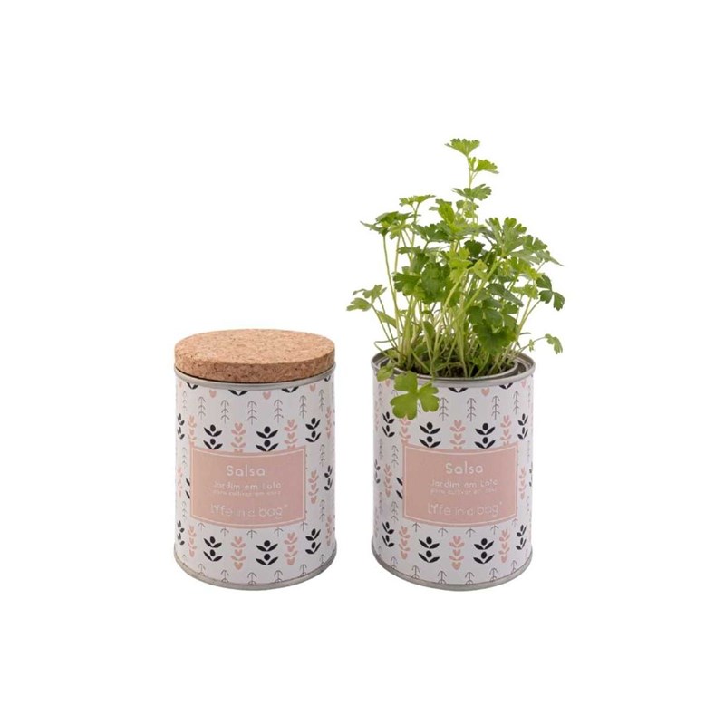 Achat Nature - Jardin en boite modern persil