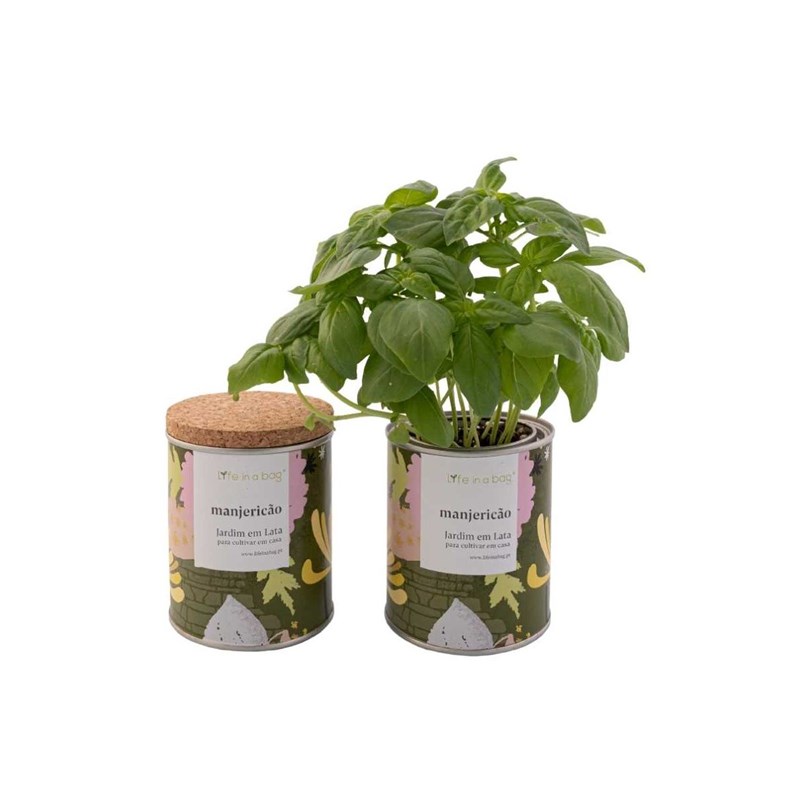 Achat Nature - Jardin en boite floral  basilic