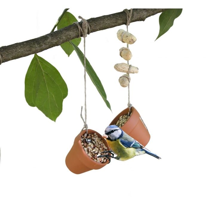 Nourriture pour oiseaux et emballages : Lettre à mon fournisseur - Oiseaux  et papillons au jardin