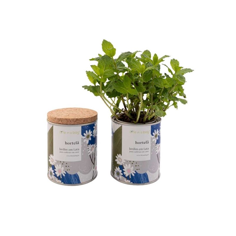 Achat Nature - Jardin en boite floral menthe