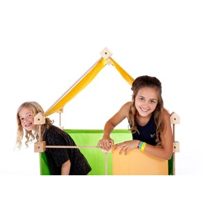 Trigonos family color