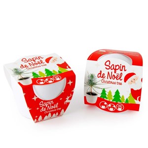 Mini sapin de noël dans un pot céramique