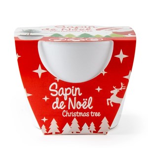 Mini sapin de noël dans un pot céramique
