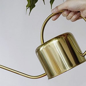Arrosoir vintage doré en inox 1,2 litres