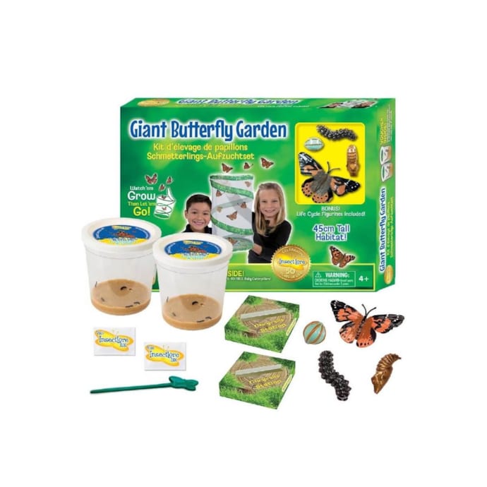 Kit D'Élevage De Papillons Insect Lore – Habitat, Chenilles Incluses (sur Bon) – Activité Éducative Dès 4 Ans – Observez La Métamorphose En Vrai