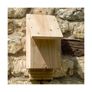 Habitat simple pour chauve souris