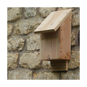 Habitat simple pour chauve souris