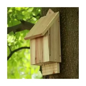 Habitat simple pour chauve souris