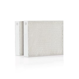 Lot de 2 filtres stadler form