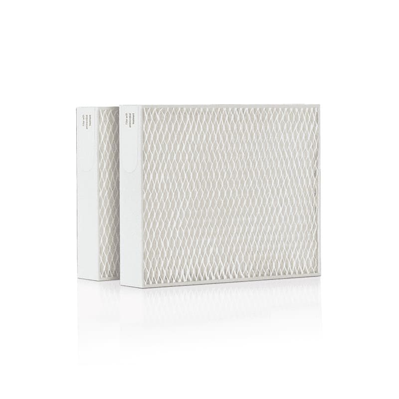 Lot de 2 filtres stadler form