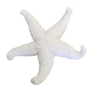 Étoile de mer blanche décorative