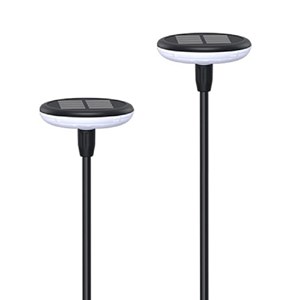 Lot de 2 éclairages solaire à planter