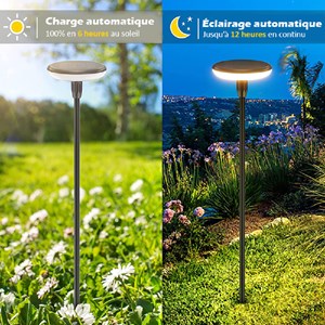 Lot de 2 éclairages solaire à planter