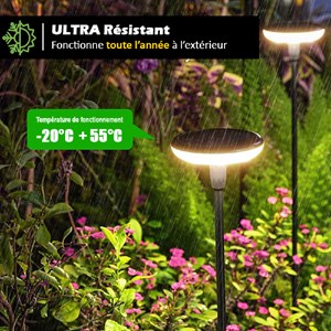 Lot de 2 éclairages solaire à planter