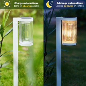 Lot de 2 éclairages solaire à planter