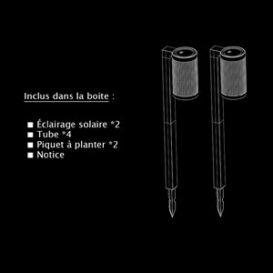 Lot de 2 éclairages solaire à planter