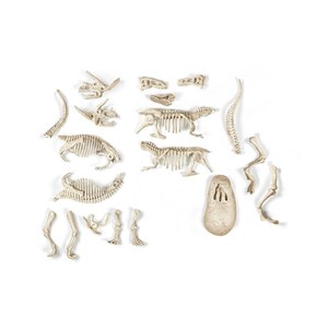 Archéo-ludic t-rex  et  tricératops