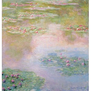 Nymphéas de monet
