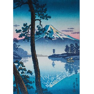 Fuji depuis la baie de tago de koitsu