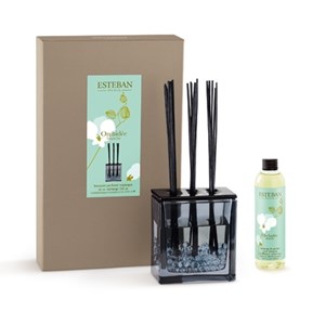 Bouquet parfumé orchidée blanche