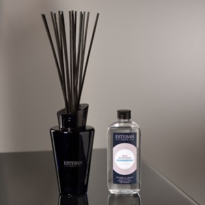 Bouquet parfumé et sa recharge bois de c