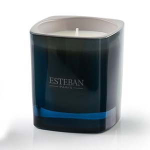 Bougie parfumée lin et petitgrain
