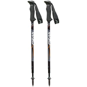 Bâtons télescopiques fizan compact black