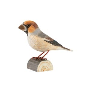 Decobird gros bec