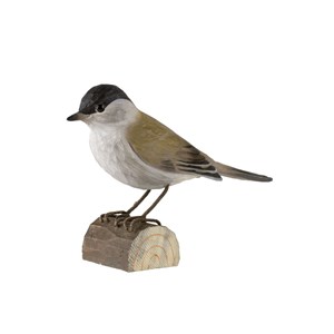 Décobird fauvette à tête noire