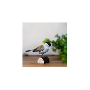 Décobird fauvette à tête noire