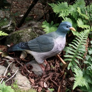 Pigeon sculpture en bois