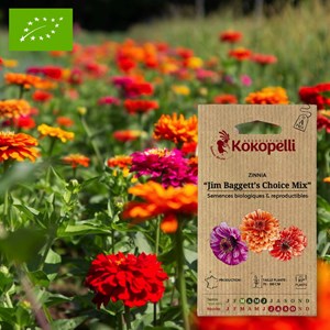 Zinnia jim baggett's choice mix- graines
