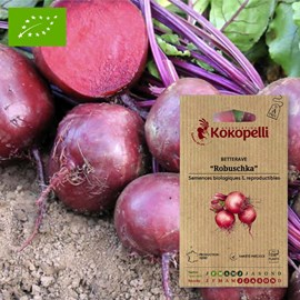 Betterave rouge robuschka- graines bio à