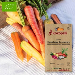 Carotte en mélange de couleurs- graines