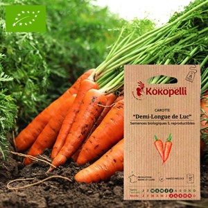 Carotte rouge et orange demi-longue de l