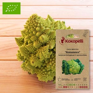Chou brocoli romanesco- graines bio à se