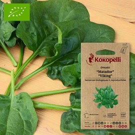 Épinard matador &nbsp; viking- graines bio à