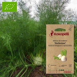 Fenouil de florence perfection- graines