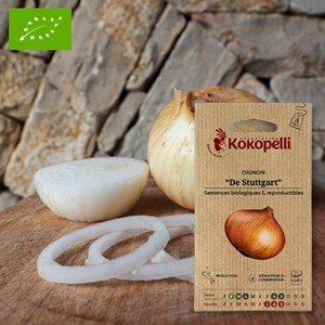Oignon de stuttgart- graines bio à semer