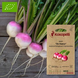 Navet de nancy- graines bio à semer