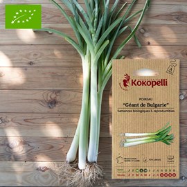 Poireau géant de bulgarie- graines bio à