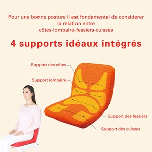 Coussin ergonomique pinto standard-mgris